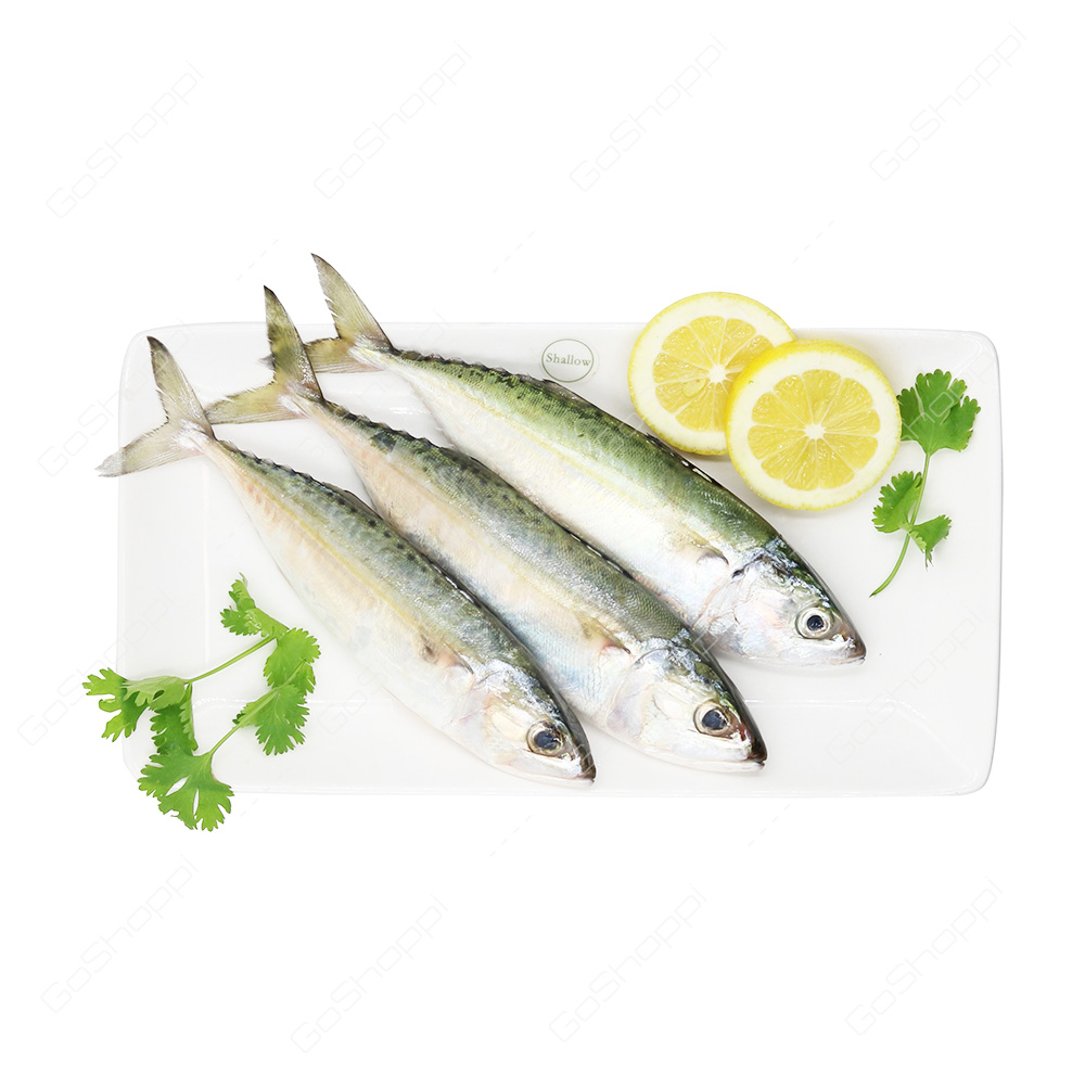 Mackerel Fish Medium 1 kg